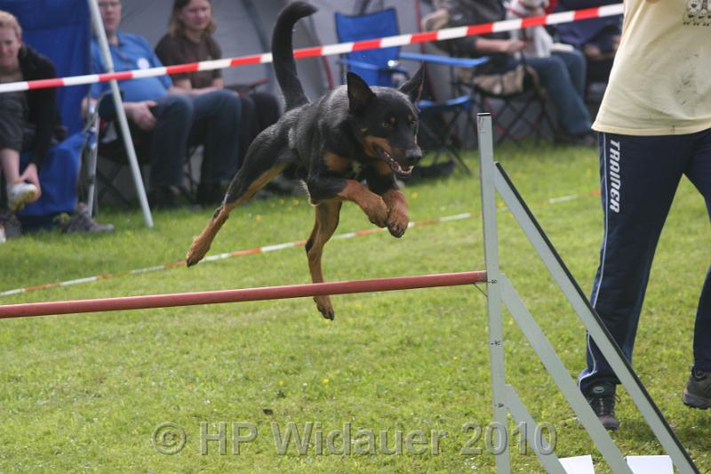 Haag2010 003.jpg